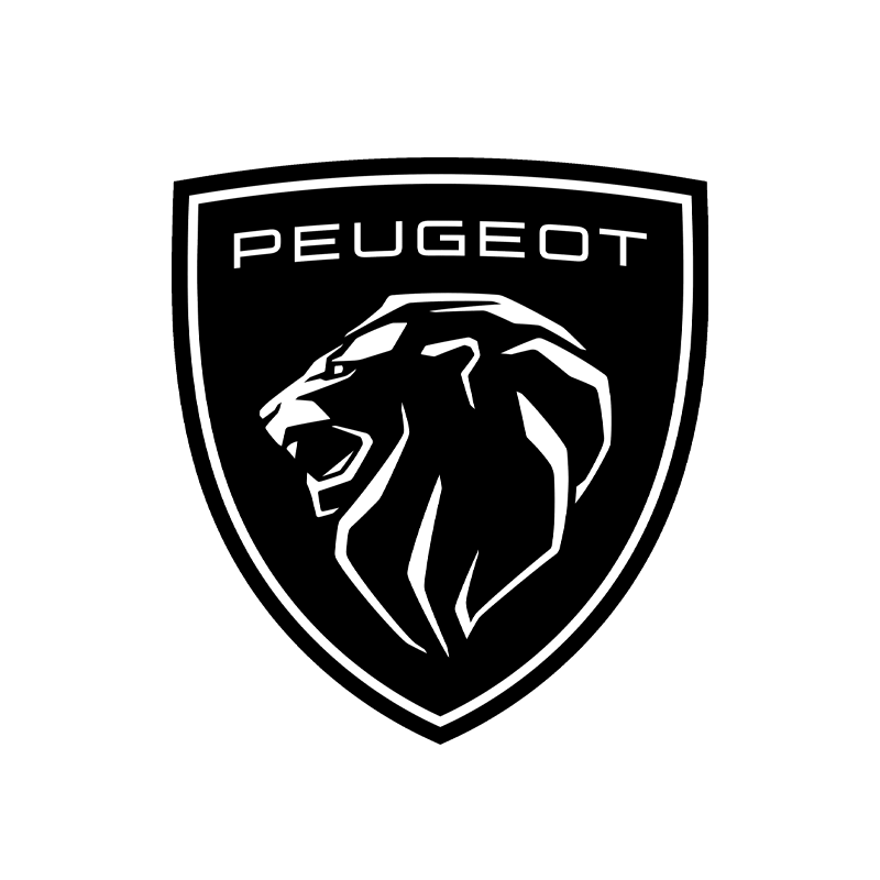 Peugeot 307 Seat Covers