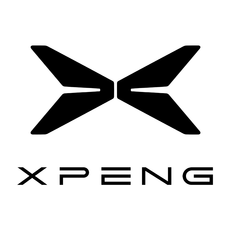XPENG Car Mats